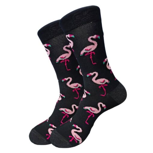 Beautiful Flamingo