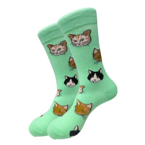 Cats Everywhere